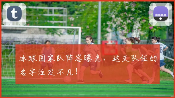 冰球国家队阵容曝光，这支队伍的名字注定不凡！