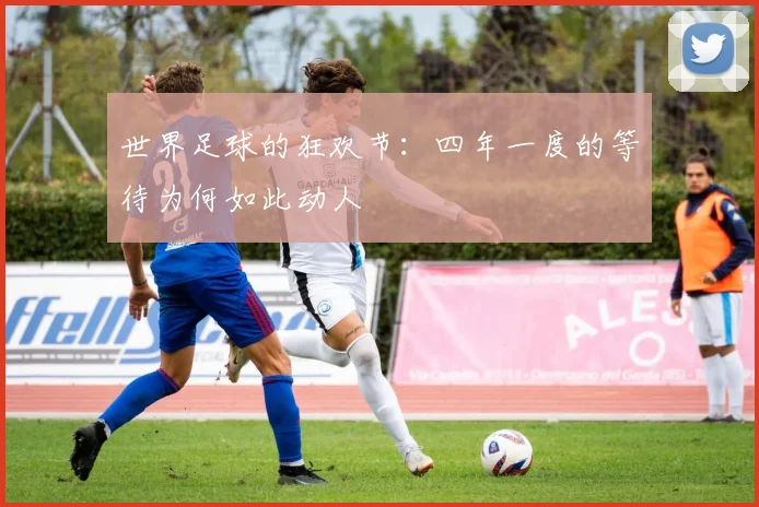 世界足球的狂欢节：四年一度的等待为何如此动人